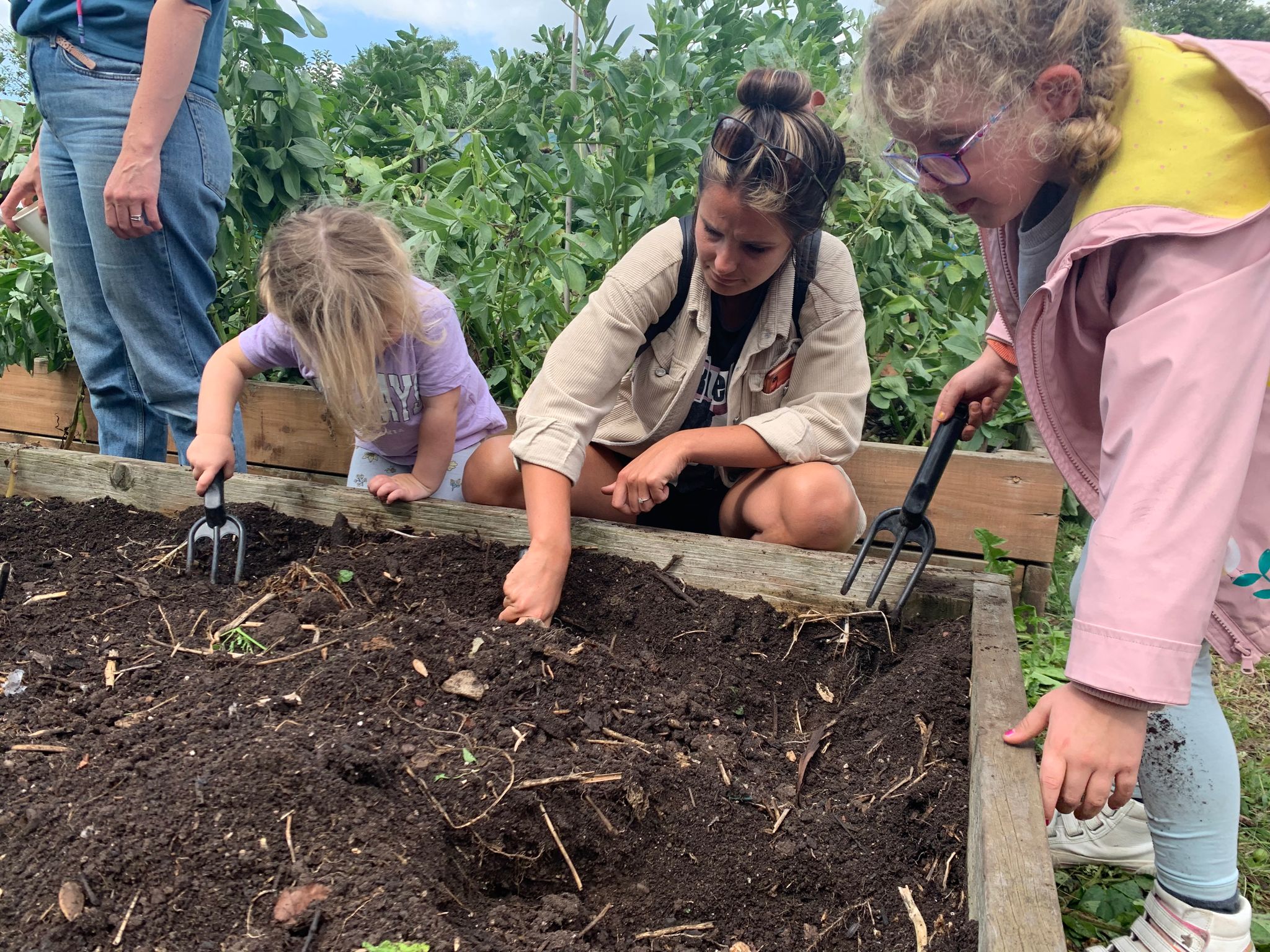 Family Gardening Summer Sessions Middleport Matters