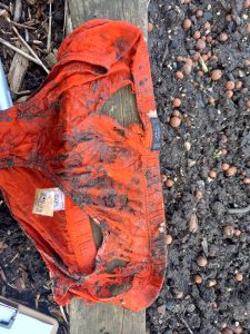 Orange pants covered in dirt with large holes in the fabric