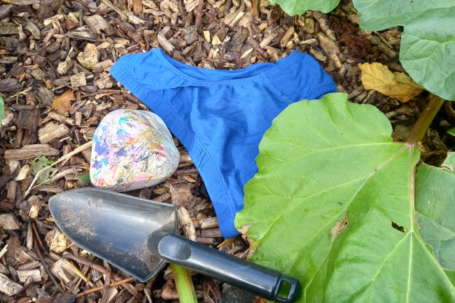 Pants, trowel and rock on the earth under rhubarb leaves